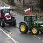 zdjęcie nr 69