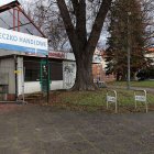 zdjęcie nr 31