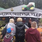 zdjęcie nr 24