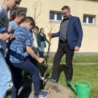 zdjęcie nr 28