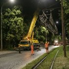 zdjęcie nr 27