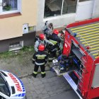 zdjęcie nr 8