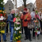 zdjęcie nr 55