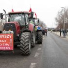 zdjęcie nr 117