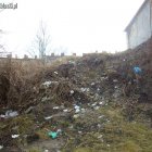  nadesłane/Straż Miejska w Elblągu