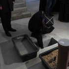zdjęcie nr 20