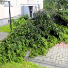 zdjęcie nr 7