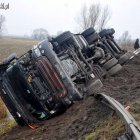 zdjęcie nr 10