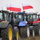zdjęcie nr 18