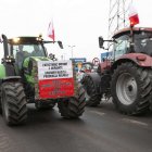 zdjęcie nr 112
