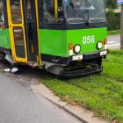 Fotka nr 2 z 3