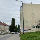 Fotka nr 4 z 10
