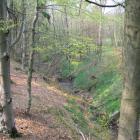 zdjęcie nr 8