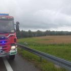 Fotka nr 5 z 17
