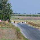 zdjęcie nr 8