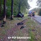 zdjęcie nr 9