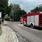 zdjęcie nr 43