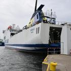 Fotka nr 3 z 13