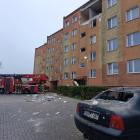 Fotka nr 4 z 18