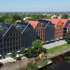 zdjęcie nr 5