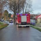 Fotka nr 5 z 7