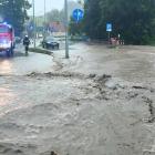 zdjęcie nr 11