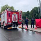 Fotka nr 2 z 11