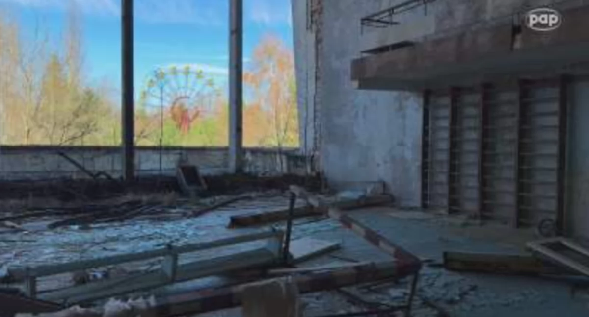 Czarnobylski grzyb, który „lubi” promieniowanie