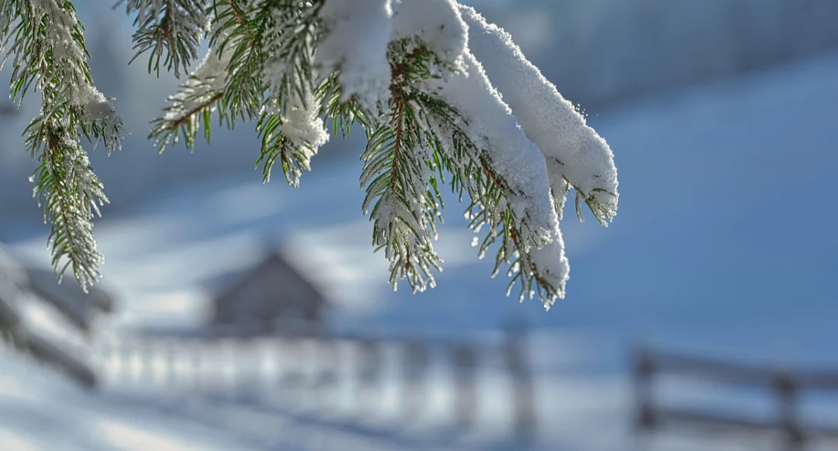 Kanada skuta lodem. Odnotowano najniższą temperaturę od 26 lat
