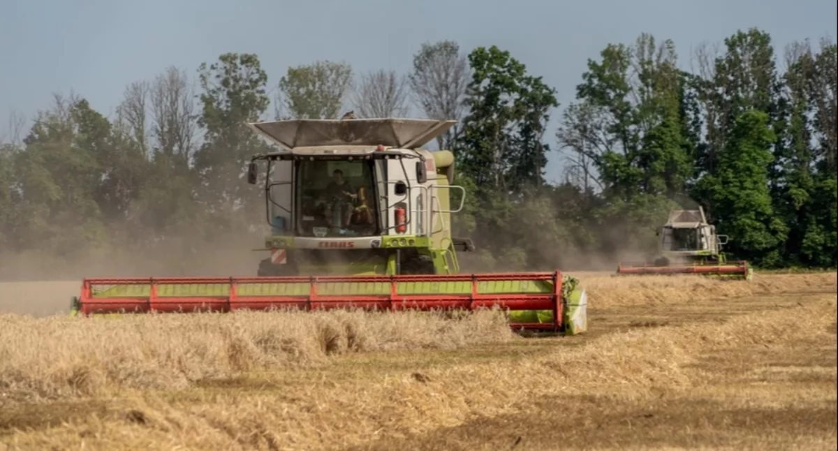 Bruksela naciska. Spór o ukraińskie zboże wraca na nowo