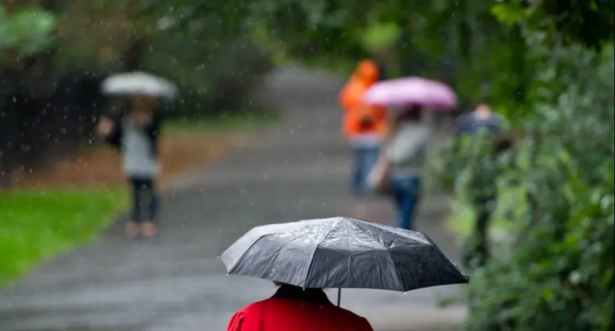 Najbliższe dni z deszczem, burzami i porywistym wiatrem. Temperatura spadnie