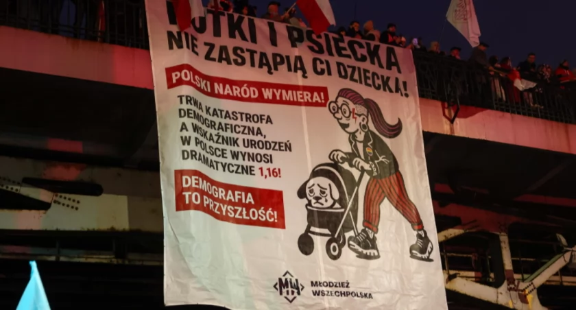 Dlaczego nie rodzimy dzieci? Ekspert wskazuje przyczyny, o których milczy społeczeństwo