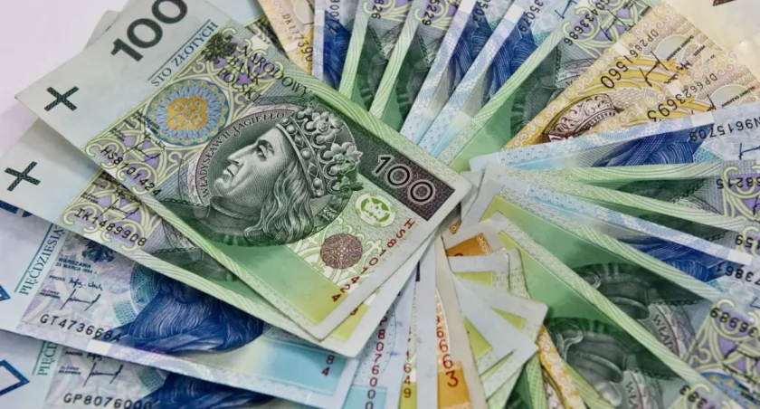 Złoty wygrywa z euro?