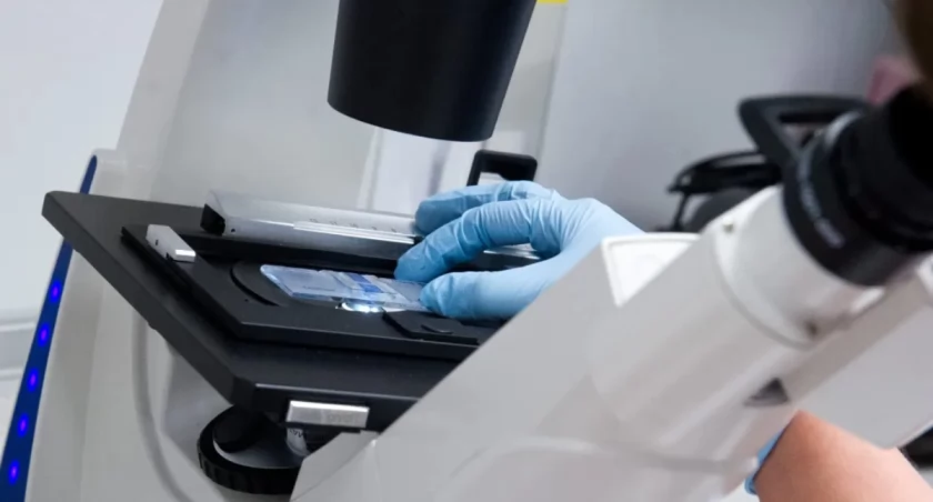 Nanoplastik budzi bakterie do życia!