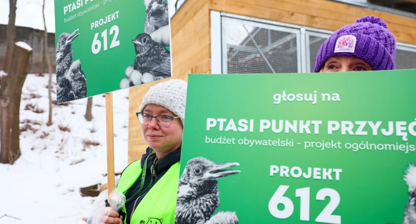 Każdy ranny ptak ma teraz szansę