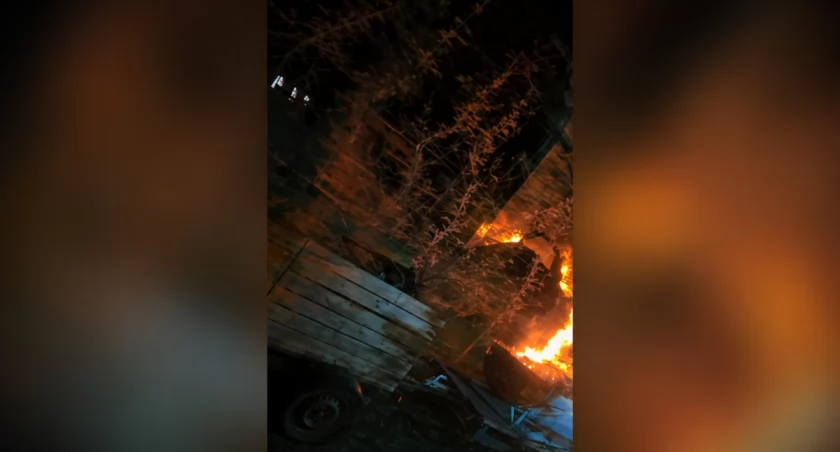 Nocna walka sadowników. Mróz ich nie oszczędził