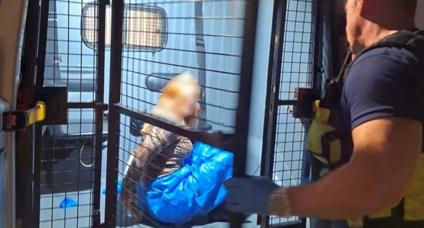 Brutalne sceny na warszawskim SOR-ze. Agresywna kobieta zaatakowała medyczkę