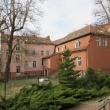 zdjęcie nr 