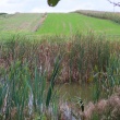 zdjęcie nr 