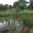 zdjęcie nr 