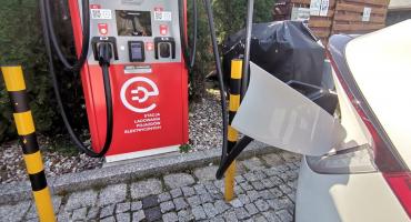 Elektryki na wstecznym. Jakie samochody kupują teraz Polacy? Co jest takiego w hybrydach, że cieszą się takim wzięciem?