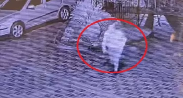 Policja szuka kobiety z nagrania [VIDEO]
