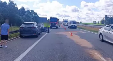 Trzy auta zderzyły się na S7. Łabędź uderzył w jadący samochód