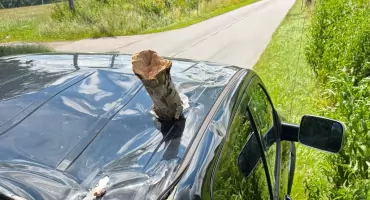 Kolejne drzewo uderzyło w jadący samochód. Znów w Piastowie